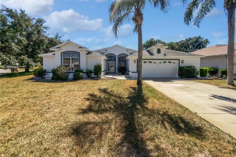 House in Leesburg, Florida 3 bedrooms, 303.51 sq.m. № 1644179 - photo 1