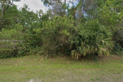 Commercial property in Loxahatchee Groves, Florida № 2059700