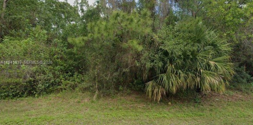 Коммерческая недвижимость в Локсахатчи-Гроувс, Флорида № 2059700