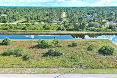 Land in Lehigh Acres, Florida № 2163513 - photo 5