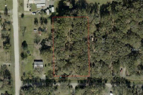 Terreno en Bunnell, Florida № 2208384