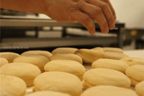 Propiedad comercial en venta en Hollywood, Florida № 2022108 - foto 8