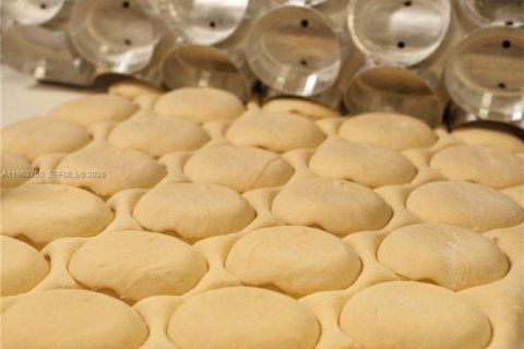 Propiedad comercial en venta en Hollywood, Florida № 2022108 - foto 3