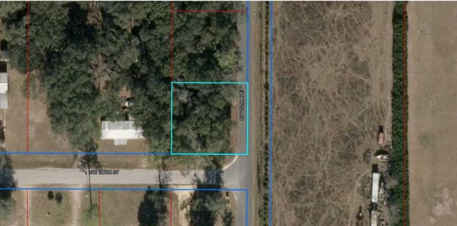 Land in Trenton, Florida № 2162532