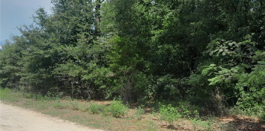 Terrain à Morriston, Floride № 2201559