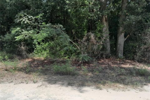 Terrain à vendre à Morriston, Floride № 2201559 - photo 3