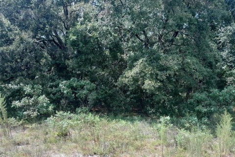 Terrain à vendre à Morriston, Floride № 2201559 - photo 5