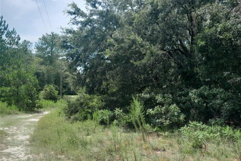 Terrain à vendre à Morriston, Floride № 2201559 - photo 6
