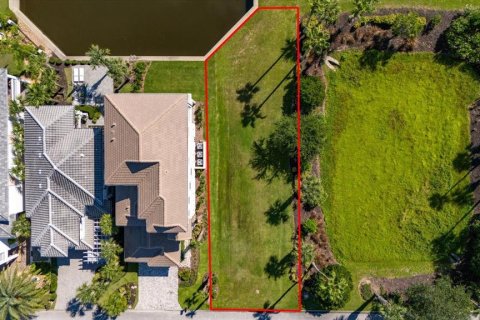 Land in Palm Coast, Florida № 1560257 - photo 5