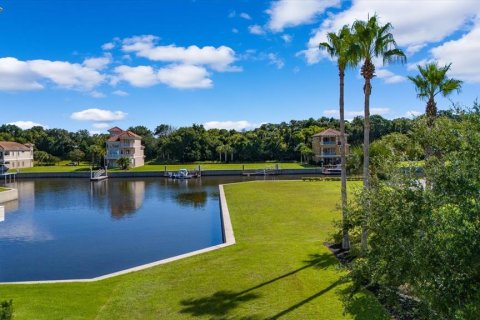 Land in Palm Coast, Florida № 1560257 - photo 3