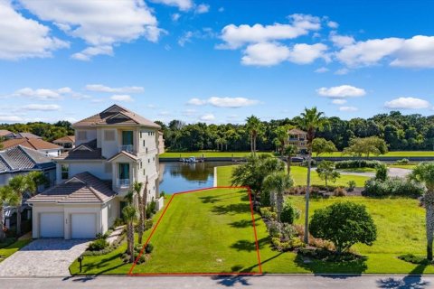 Land in Palm Coast, Florida № 1560257 - photo 1