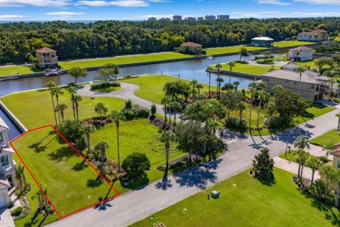 Land in Palm Coast, Florida № 1560257 - photo 2