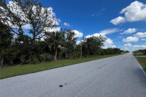Land in Port Charlotte, Florida № 2159519 - photo 3