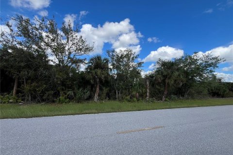 Land in Port Charlotte, Florida № 2159519 - photo 2