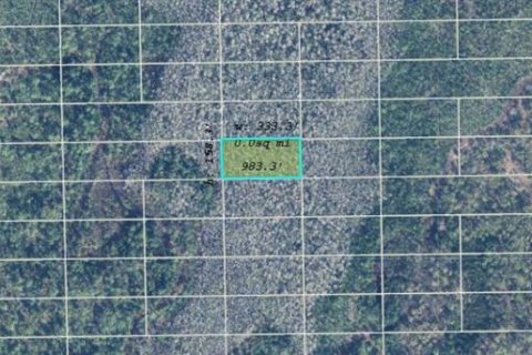 Land in Orlando, Florida № 2163621 - photo 2