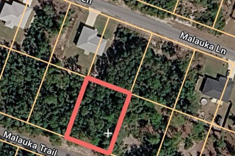 Land in Ocklawaha, Florida № 2163865