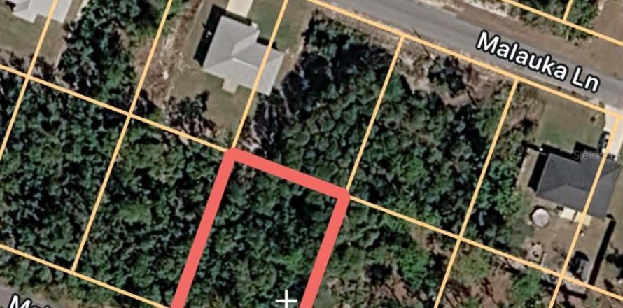 Land in Ocklawaha, Florida № 2163865
