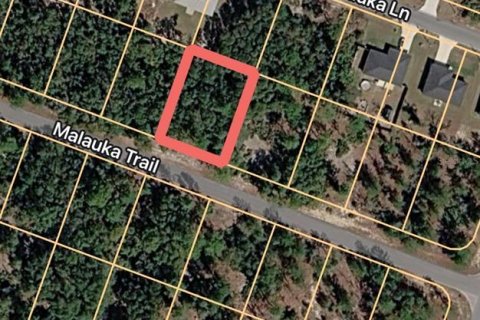 Land in Ocklawaha, Florida № 2163865 - photo 2