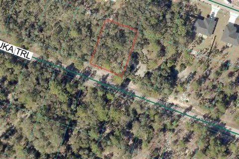 Land in Ocklawaha, Florida № 2163865 - photo 3