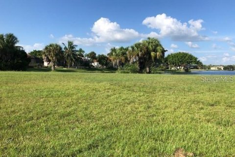 Terrain à vendre à Punta Gorda, Floride № 2195229 - photo 4