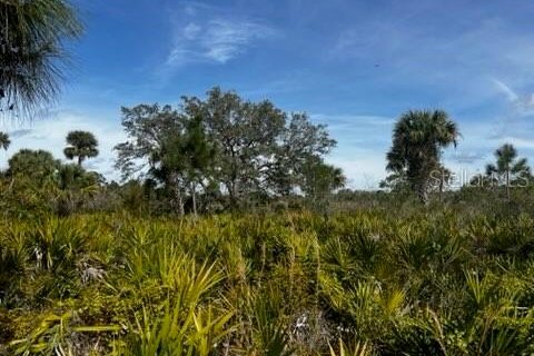 Land in Punta Gorda, Florida № 1554397 - photo 11