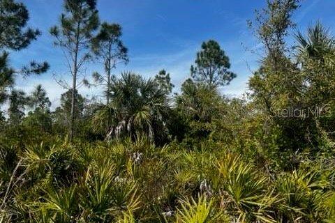Land in Punta Gorda, Florida № 1554397 - photo 13