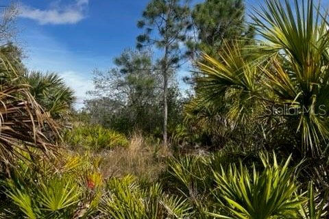 Land in Punta Gorda, Florida № 1554397 - photo 17