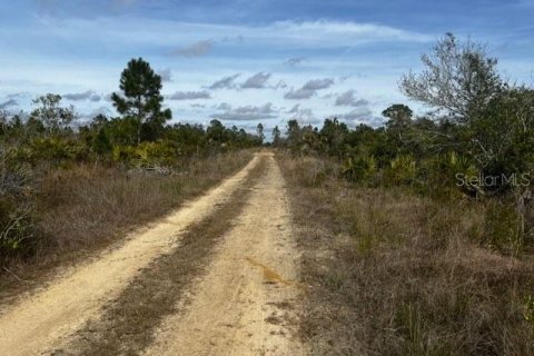Land in Punta Gorda, Florida № 1554397 - photo 7