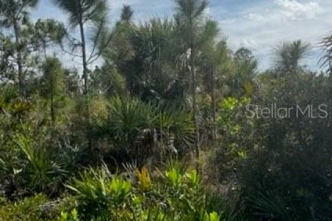 Land in Punta Gorda, Florida № 1554397 - photo 19