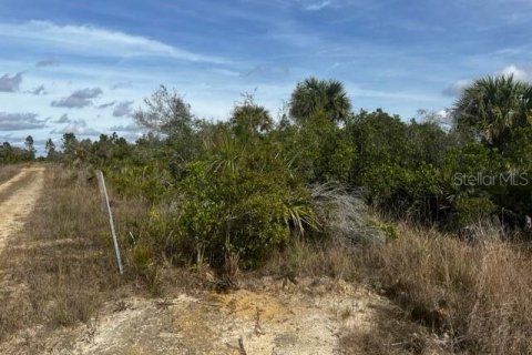 Land in Punta Gorda, Florida № 1554397 - photo 21