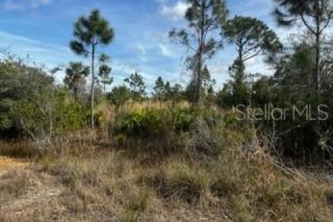 Land in Punta Gorda, Florida № 1554397 - photo 14