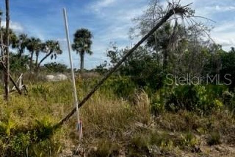 Land in Punta Gorda, Florida № 1554397 - photo 20