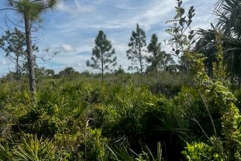 Land in Punta Gorda, Florida № 1554397 - photo 12