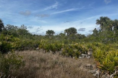 Land in Punta Gorda, Florida № 1554397 - photo 9