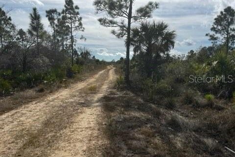 Land in Punta Gorda, Florida № 1554397 - photo 6