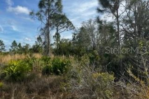 Land in Punta Gorda, Florida № 1554397 - photo 15