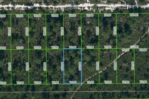 Land in Lake Placid, Florida № 2224010
