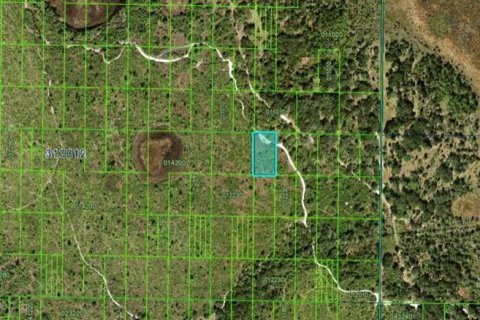 Land in Frostproof, Florida № 2163774 - photo 3