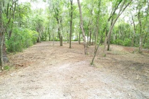 Land in Ocala, Florida № 2164122