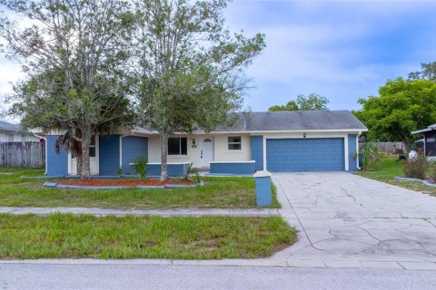Villa ou maison à Spring Hill, Floride 3 chambres, 104.14 m2 № 2339830