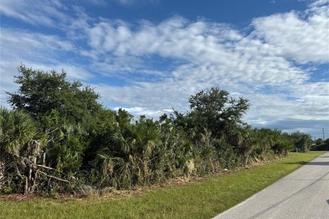 Land in Port Charlotte, Florida № 2164245 - photo 3
