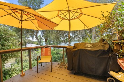 Villa ou maison à vendre à Welaka, Floride: 2 chambres, 167.22 m2 № 1789509 - photo 5