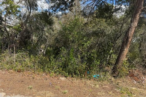Land in Ocala, Florida № 2161656 - photo 2