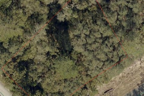 Land in Ocala, Florida № 2161656 - photo 3