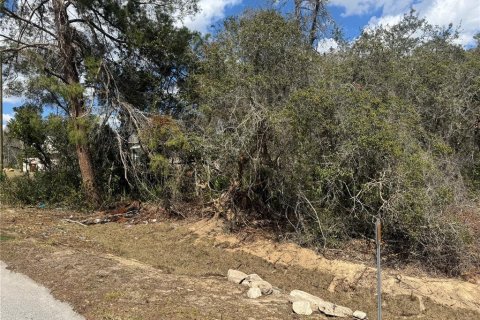 Land in Ocala, Florida № 2161656