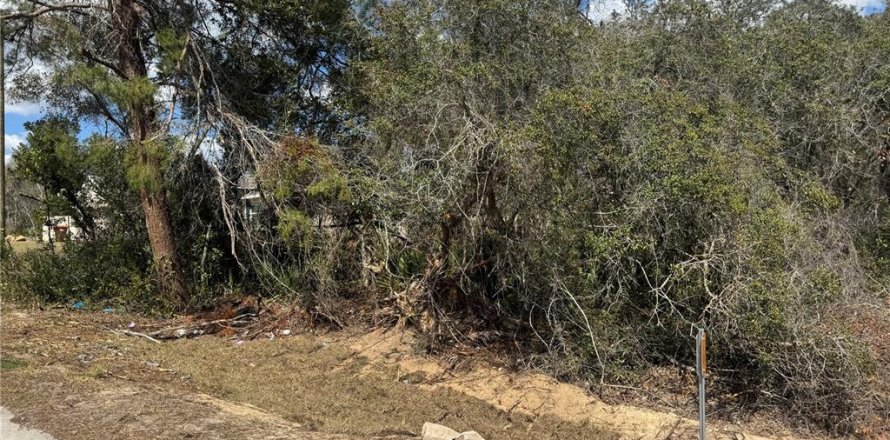 Land in Ocala, Florida № 2161656