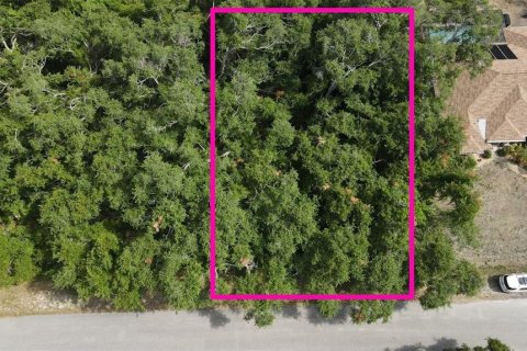 Land in North Port, Florida № 2159902 - photo 4