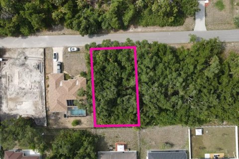 Land in North Port, Florida № 2159902 - photo 6
