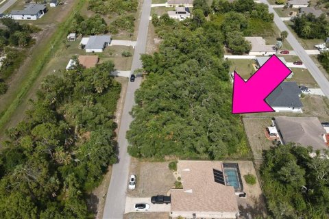 Land in North Port, Florida № 2159902 - photo 3