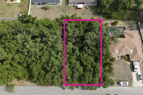 Land in North Port, Florida № 2159902 - photo 7